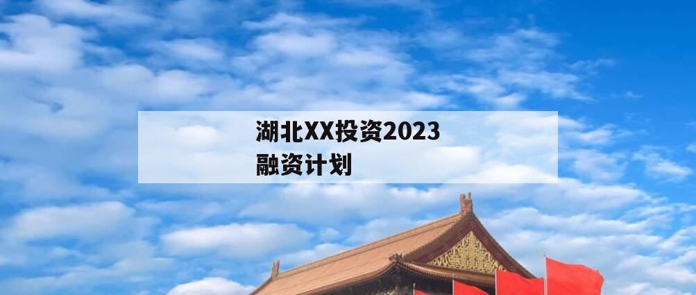 湖北XX投资2023融资计划