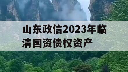 山东政信2023年临清国资债权资产