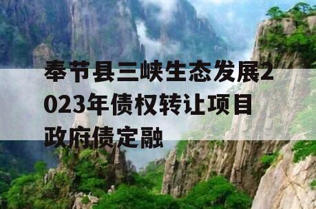 奉节县三峡生态发展2023年债权转让项目政府债定融