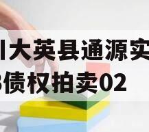 四川大英县通源实业2023债权拍卖02