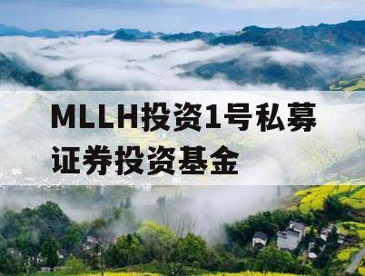 MLLH投资1号私募证券投资基金