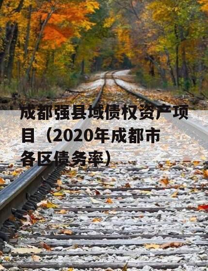 成都强县域债权资产项目（2020年成都市各区债务率）