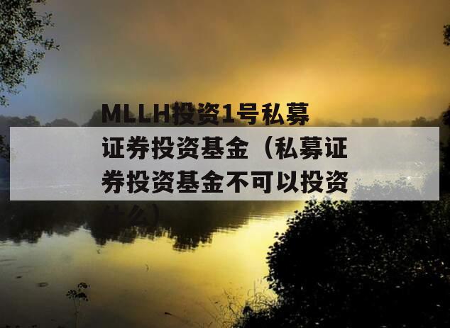 MLLH投资1号私募证券投资基金（私募证券投资基金不可以投资什么）