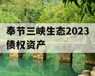 奉节三峡生态2023债权资产