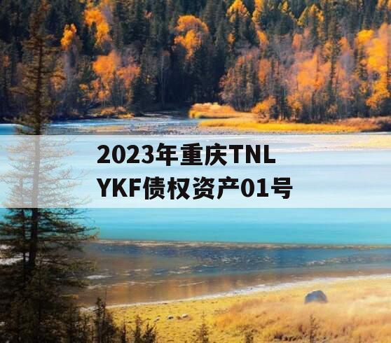 2023年重庆TNLYKF债权资产01号