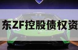 山东ZF控股债权资产