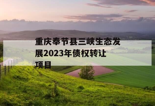 重庆奉节县三峡生态发展2023年债权转让项目