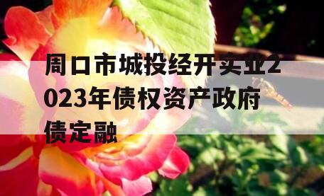 周口市城投经开实业2023年债权资产政府债定融