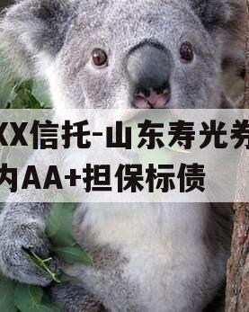 XX信托-山东寿光券内AA+担保标债