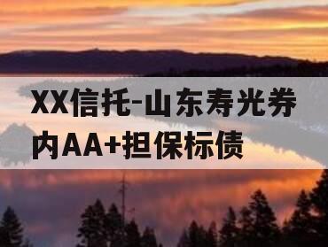 XX信托-山东寿光券内AA+担保标债
