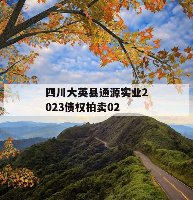 四川大英县通源实业2023债权拍卖02