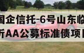 国企信托-6号山东临沂AA公募标准债项目