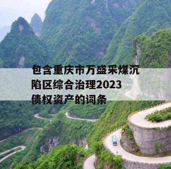 包含重庆市万盛采煤沉陷区综合治理2023债权资产的词条