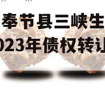 重庆奉节县三峡生态发展2023年债权转让项目