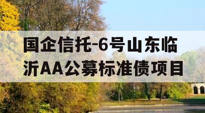 国企信托-6号山东临沂AA公募标准债项目