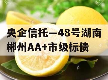 央企信托—48号湖南郴州AA+市级标债