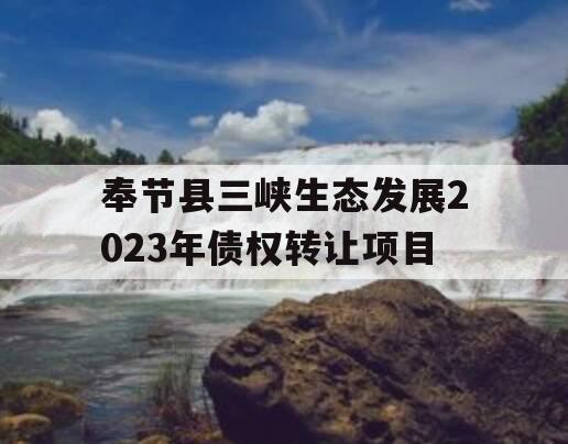 奉节县三峡生态发展2023年债权转让项目