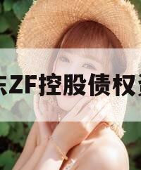 山东ZF控股债权资产