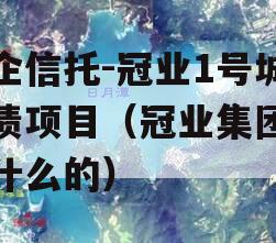 央企信托-冠业1号城投债项目（冠业集团是做什么的）