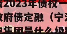 天津市宁河区兴宁建设投资2023年债权一号政府债定融（宁河区兴宁集团是什么级别单位）