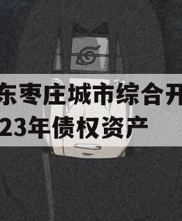 山东枣庄城市综合开发2023年债权资产