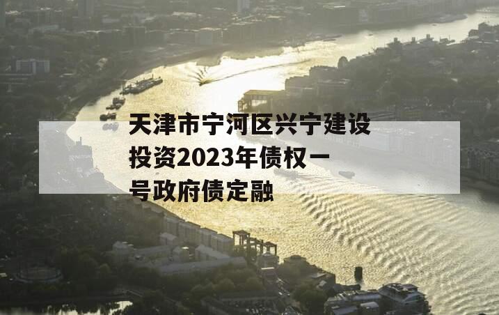 天津市宁河区兴宁建设投资2023年债权一号政府债定融