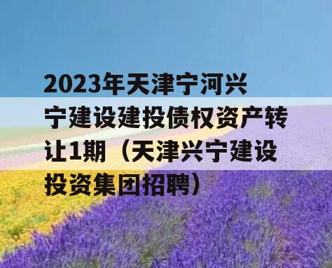 2023年天津宁河兴宁建设建投债权资产转让1期（天津兴宁建设投资集团招聘）