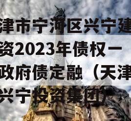 天津市宁河区兴宁建设投资2023年债权一号政府债定融（天津宁河兴宁投资集团）