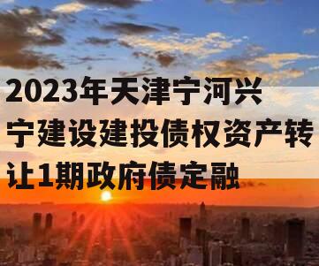 2023年天津宁河兴宁建设建投债权资产转让1期政府债定融