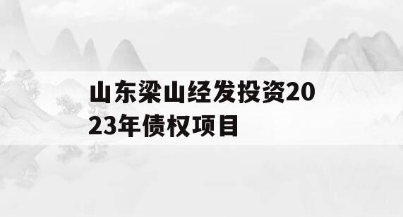 山东梁山经发投资2023年债权项目