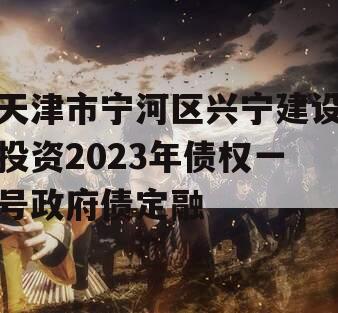 天津市宁河区兴宁建设投资2023年债权一号政府债定融