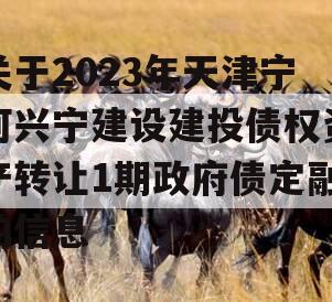 关于2023年天津宁河兴宁建设建投债权资产转让1期政府债定融的信息