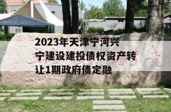 2023年天津宁河兴宁建设建投债权资产转让1期政府债定融