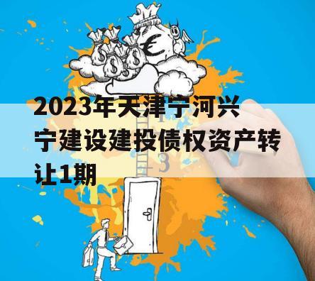 2023年天津宁河兴宁建设建投债权资产转让1期