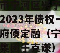 天津市宁河区兴宁建设投资2023年债权一号政府债定融（宁河区兴宁集团于克谦）