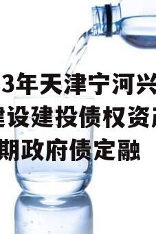 2023年天津宁河兴宁建设建投债权资产转让1期政府债定融