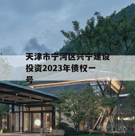 天津市宁河区兴宁建设投资2023年债权一号