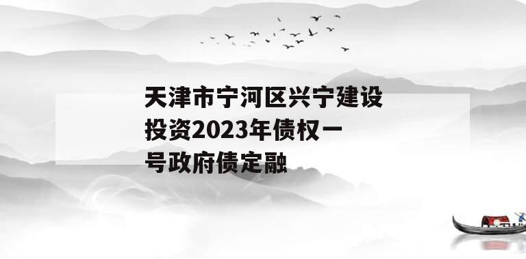 天津市宁河区兴宁建设投资2023年债权一号政府债定融