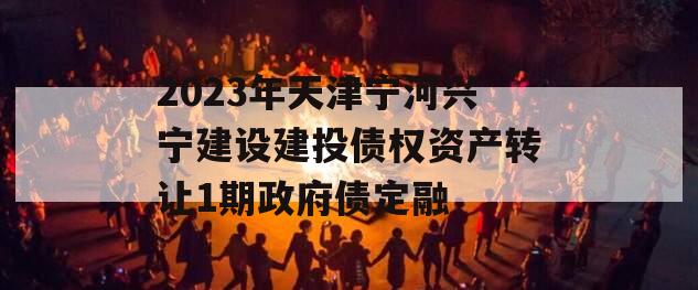 2023年天津宁河兴宁建设建投债权资产转让1期政府债定融