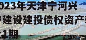 2023年天津宁河兴宁建设建投债权资产转让1期