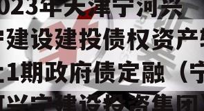 2023年天津宁河兴宁建设建投债权资产转让1期政府债定融（宁河兴宁建设投资集团）