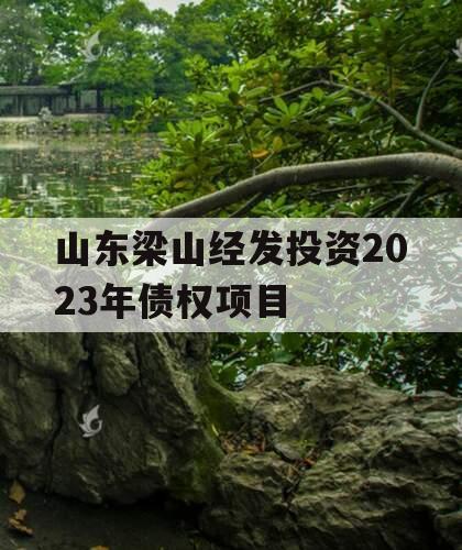 山东梁山经发投资2023年债权项目