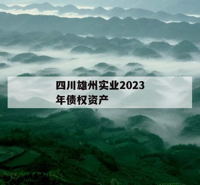 四川雄州实业2023年债权资产