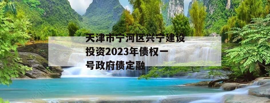 天津市宁河区兴宁建设投资2023年债权一号政府债定融