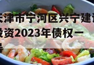 天津市宁河区兴宁建设投资2023年债权一号