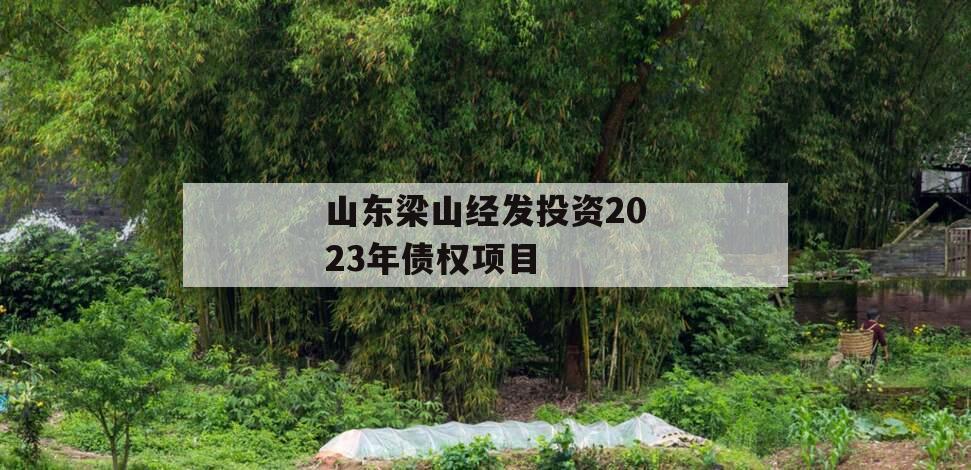 山东梁山经发投资2023年债权项目