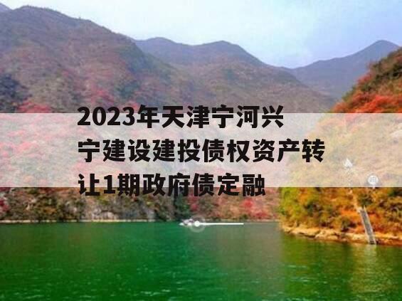 2023年天津宁河兴宁建设建投债权资产转让1期政府债定融