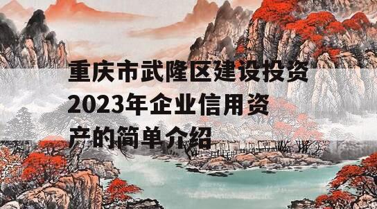 重庆市武隆区建设投资2023年企业信用资产的简单介绍