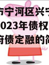 天津市宁河区兴宁建设投资2023年债权一号政府债定融的简单介绍