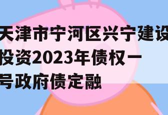 天津市宁河区兴宁建设投资2023年债权一号政府债定融